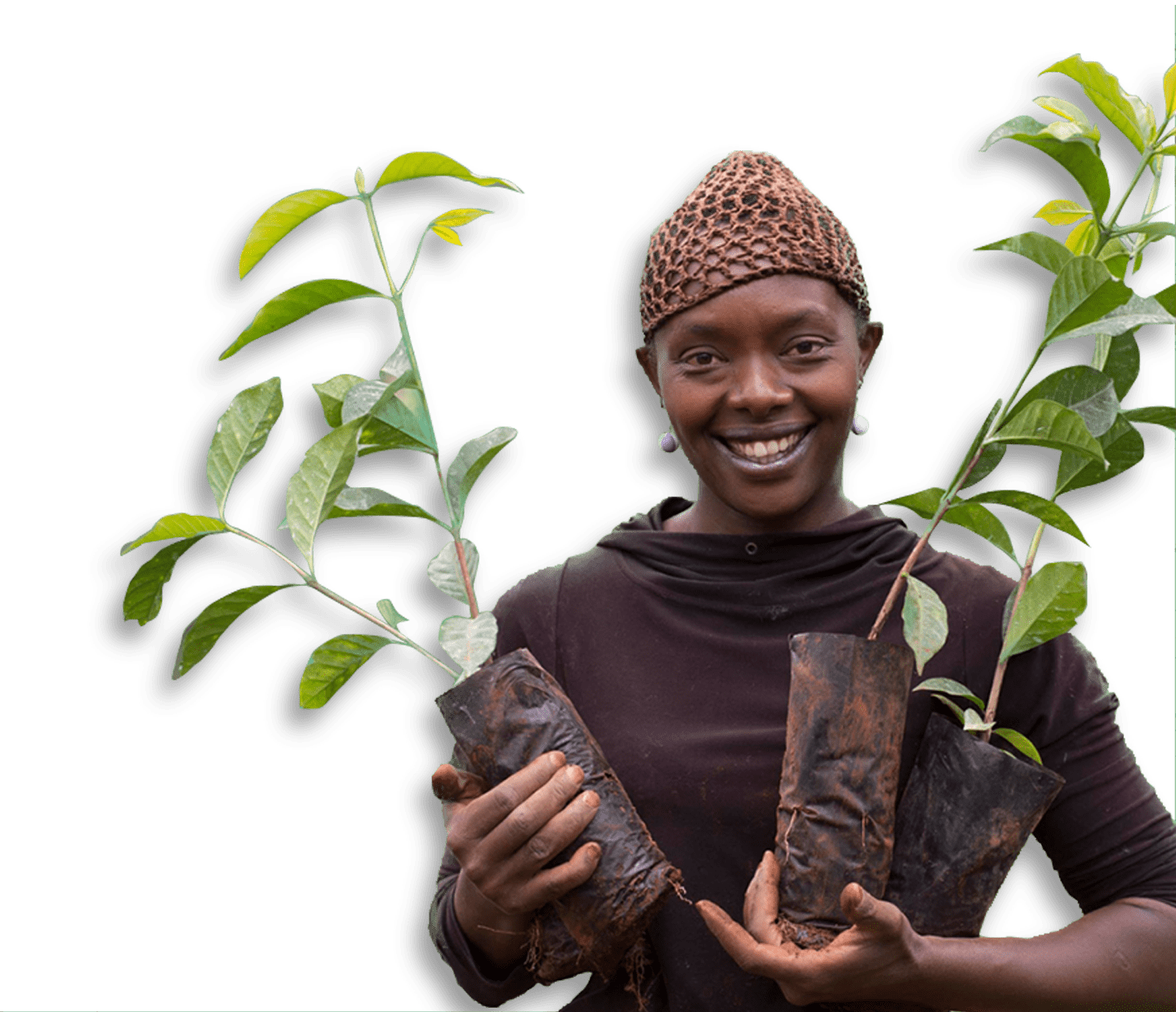 Climate Resilient Farming