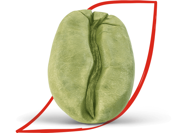NESCAFÉ® Arabiana Cardamom Sachets | Nescafé MENA