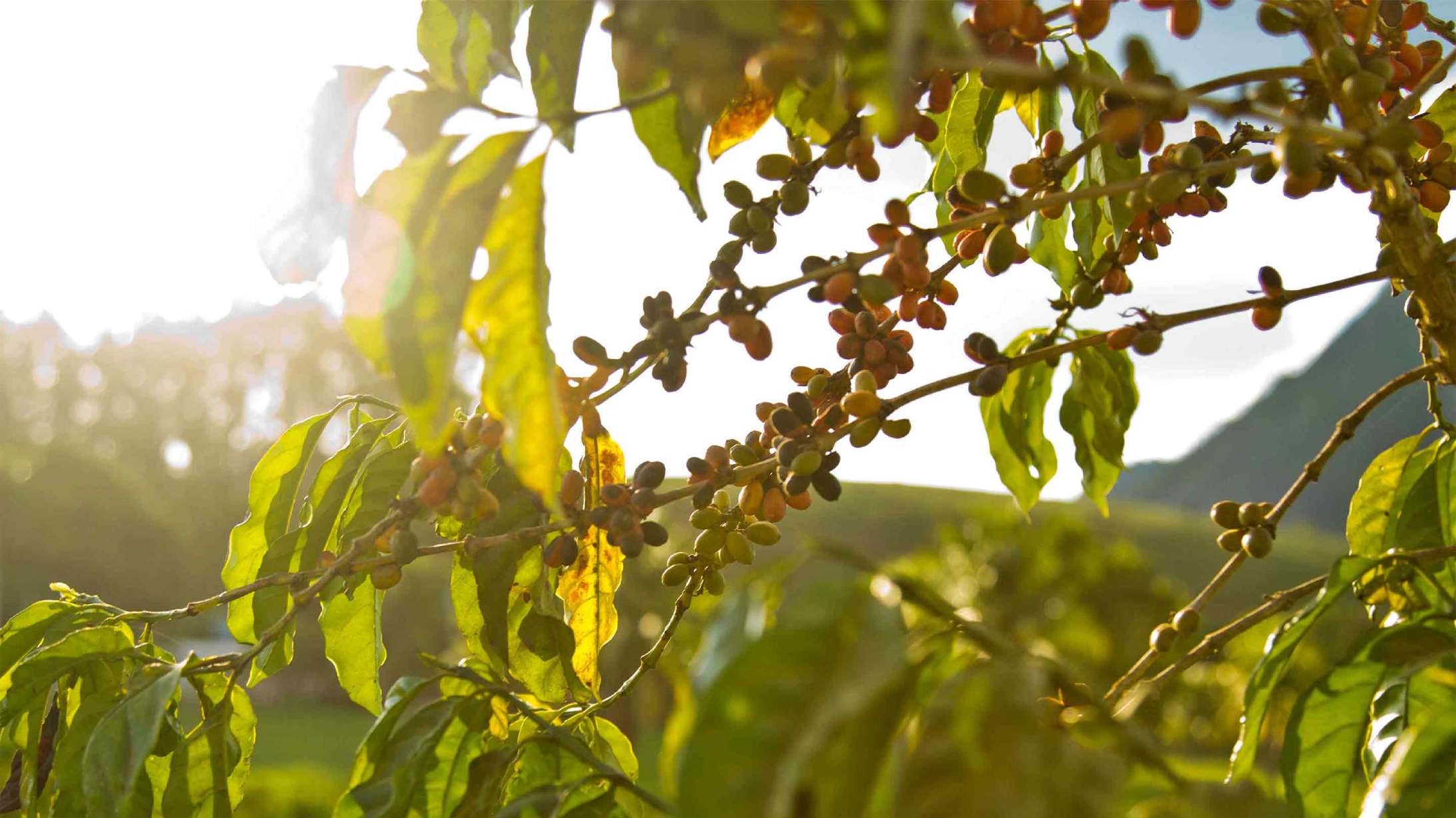 Making a World of Difference