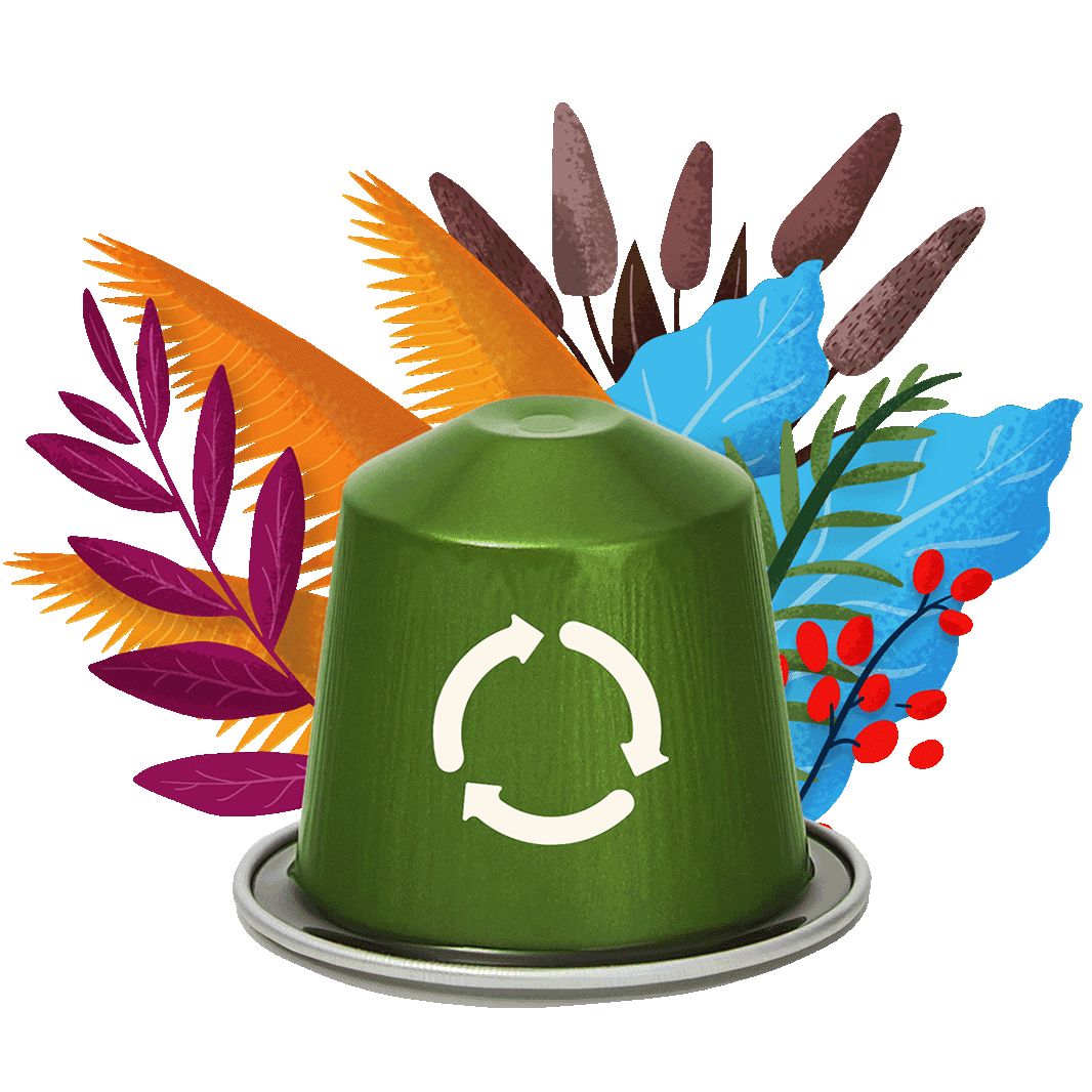 Eco capsule
