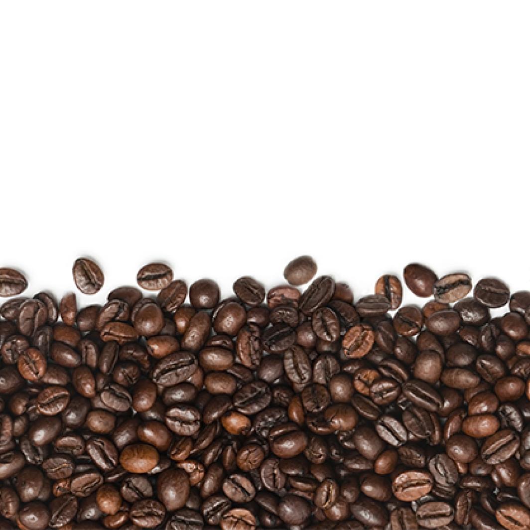 Coffee Bean Art Ideas