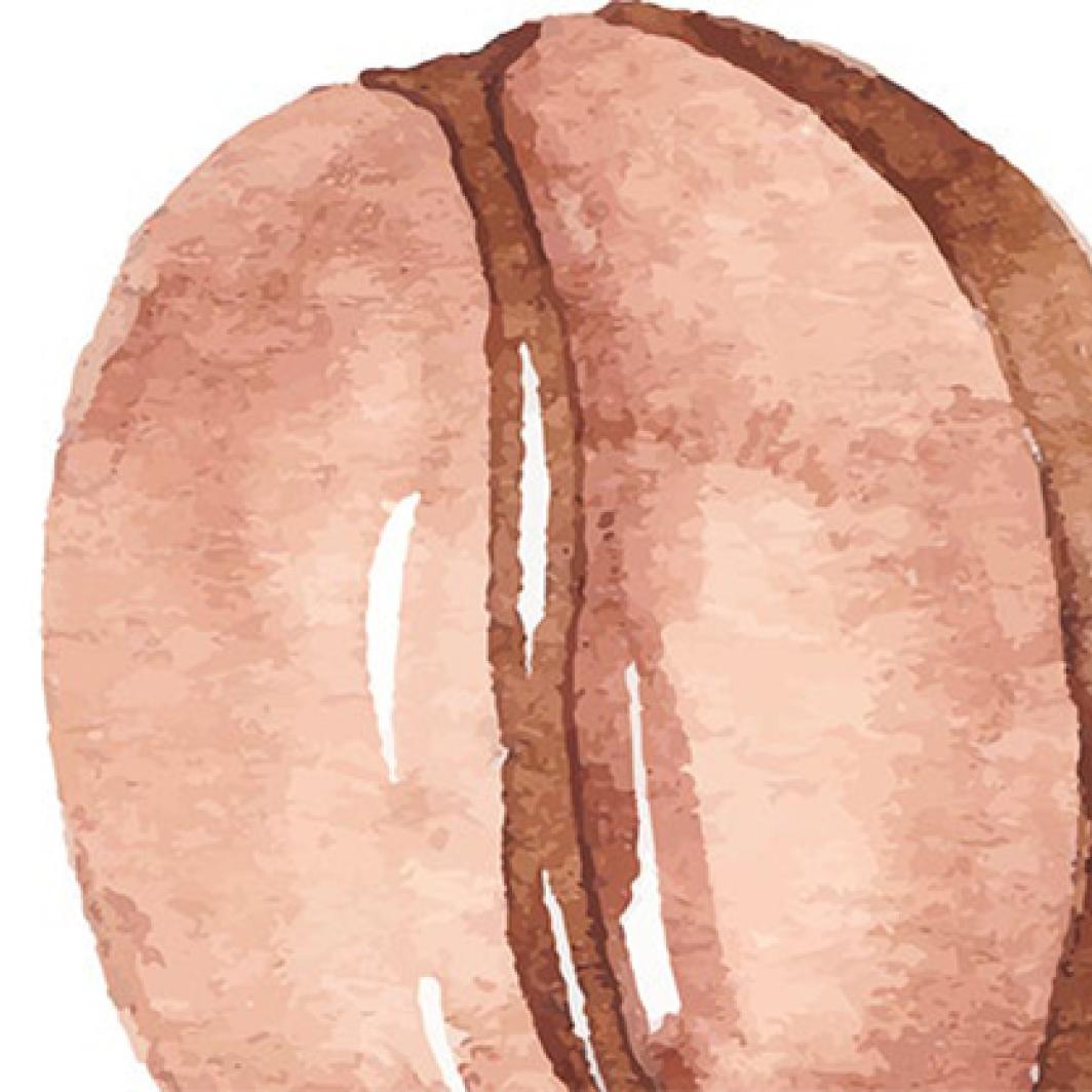 Coffee Painting for Beginners