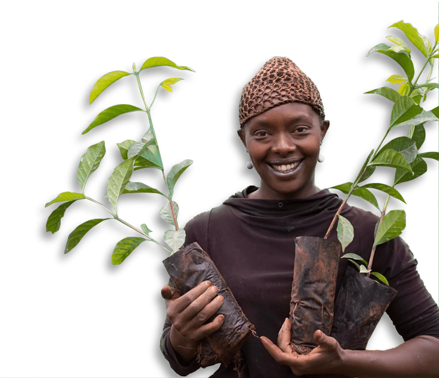 Climate Resilient Farming