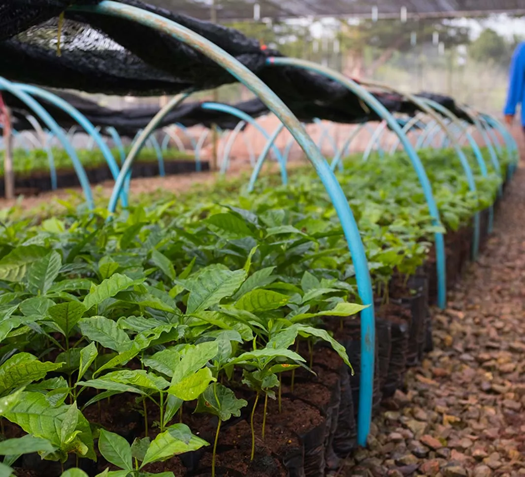 Climate Resilient Farming