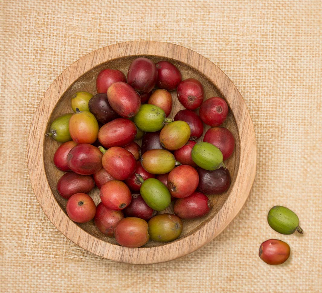 Coffee culture in Colombia