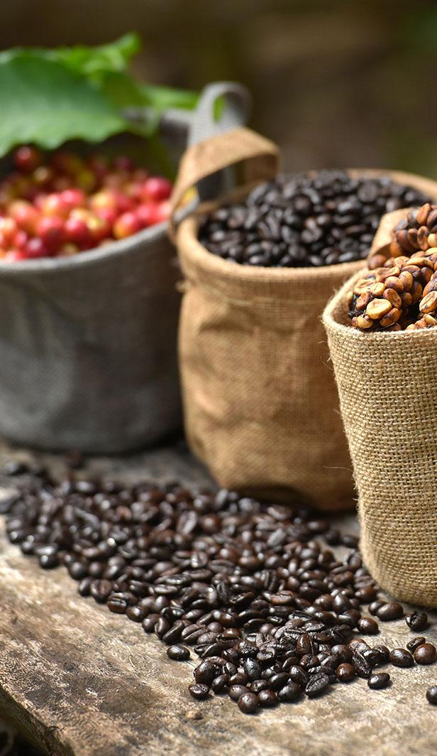 Coffee culture around the world