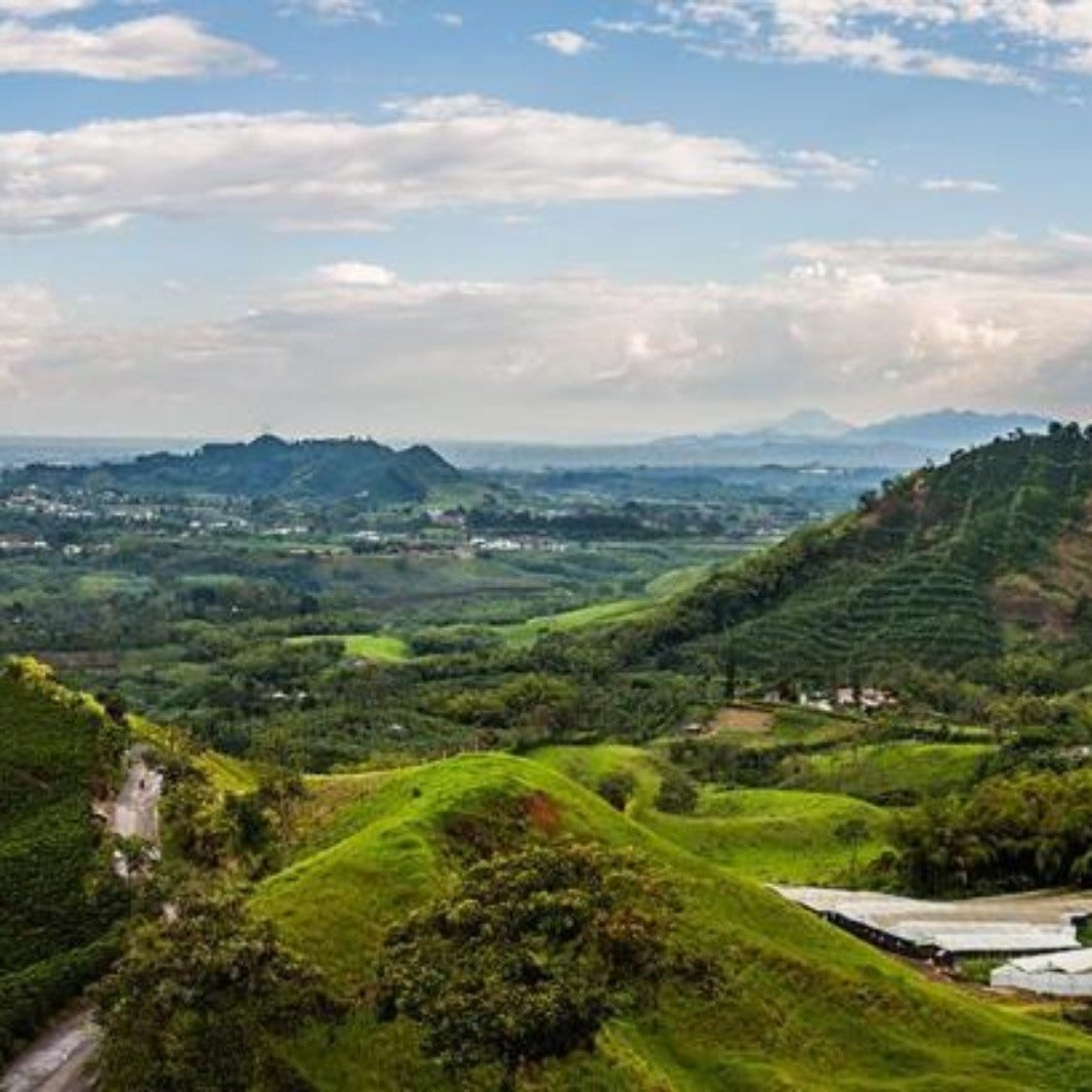 Paisaje de montañas verdes