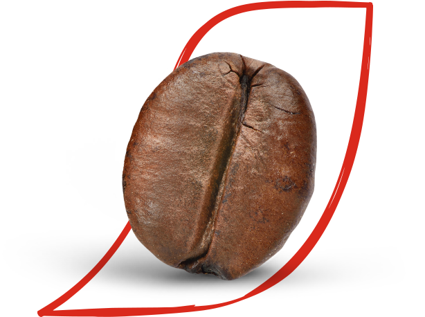 Conoce Nescafé Dolce Gusto