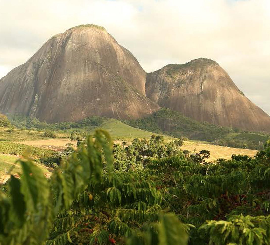Proteger el suelo y los bosques