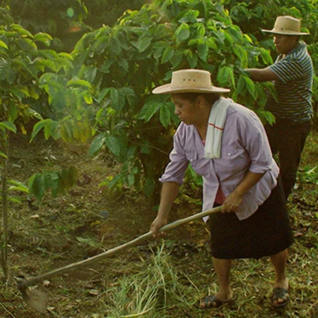 NESCAFÉ Nuestro mundo