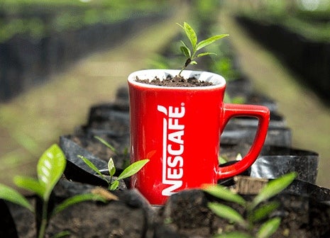 plan nescafe