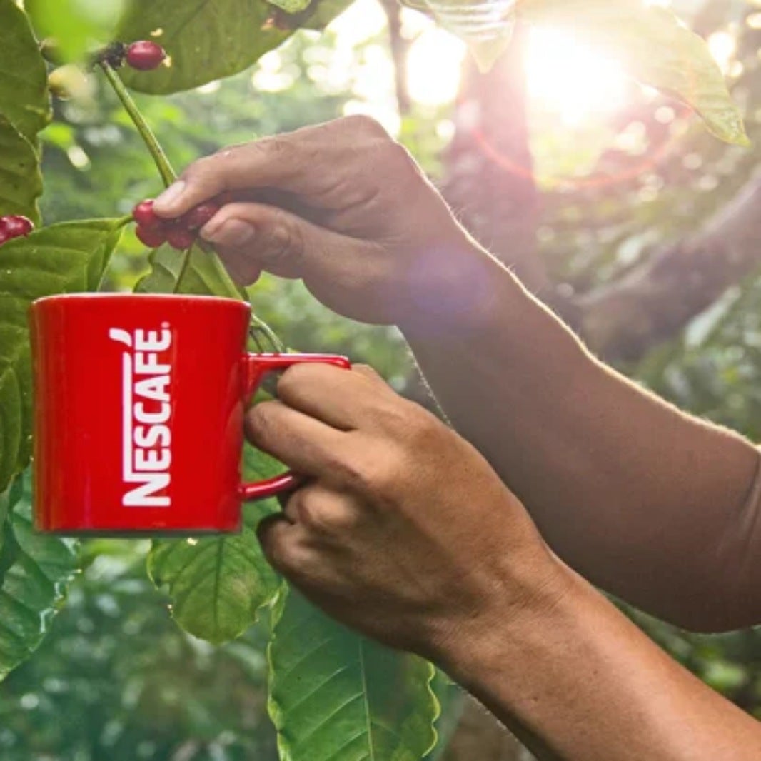 nescafe_campo_mexicano