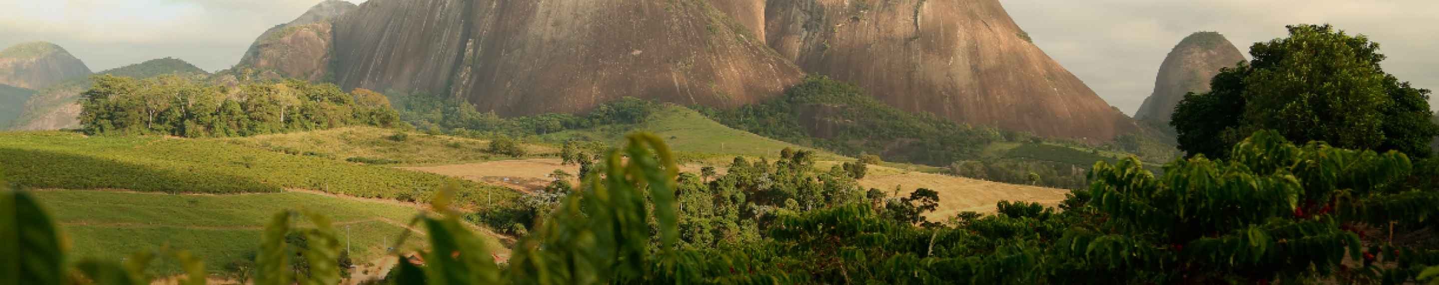 Sustentabilidad NESCAFÉ®