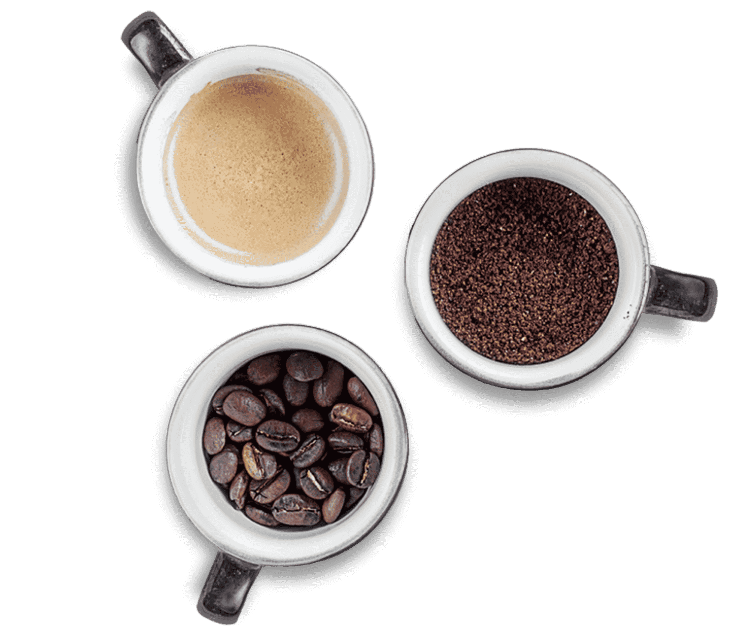 world of coffee tasting