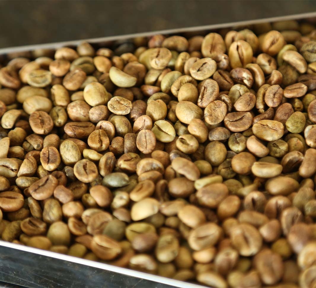 coffee roasting process