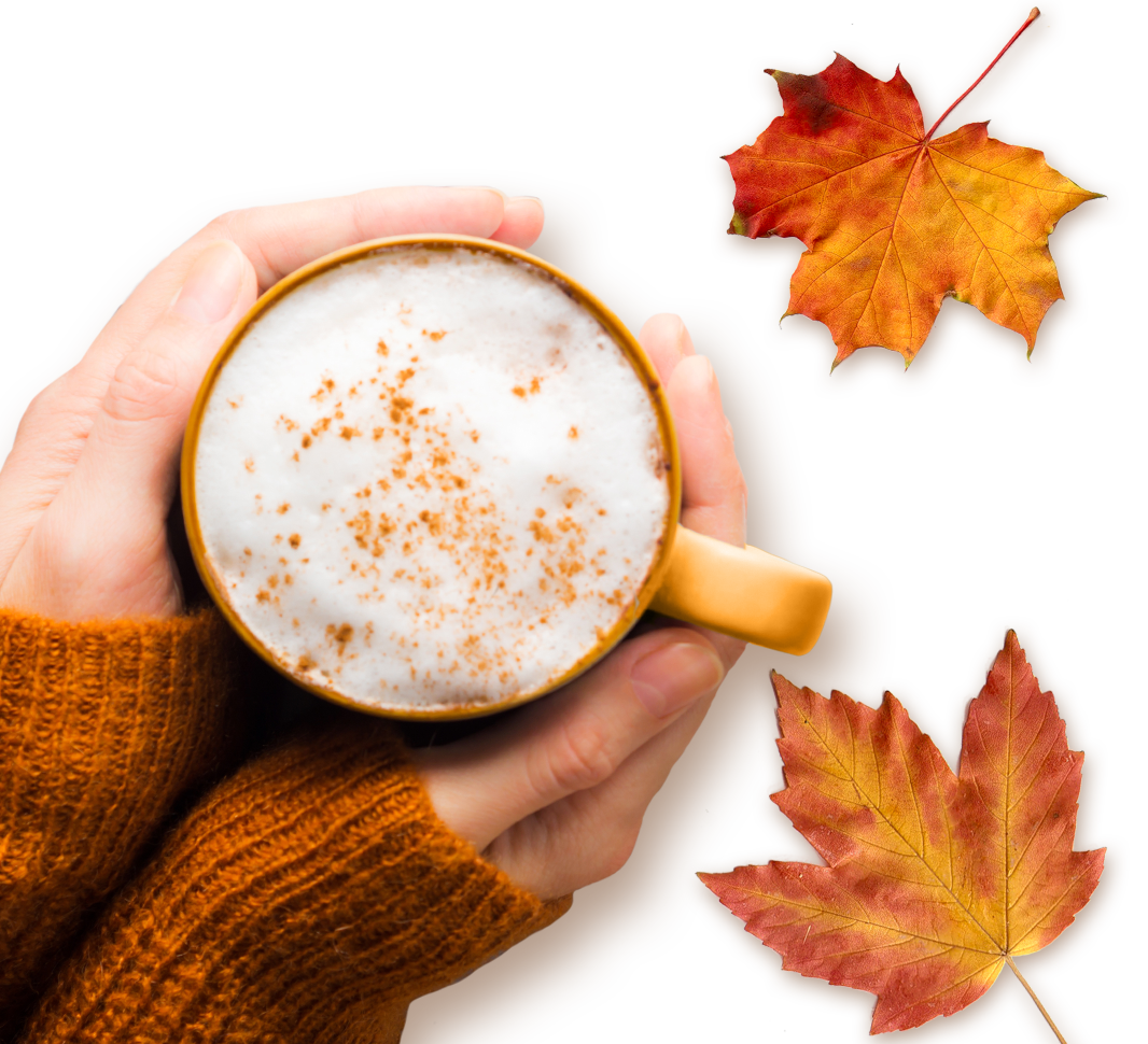 Coffee mate Pumpkin Spice