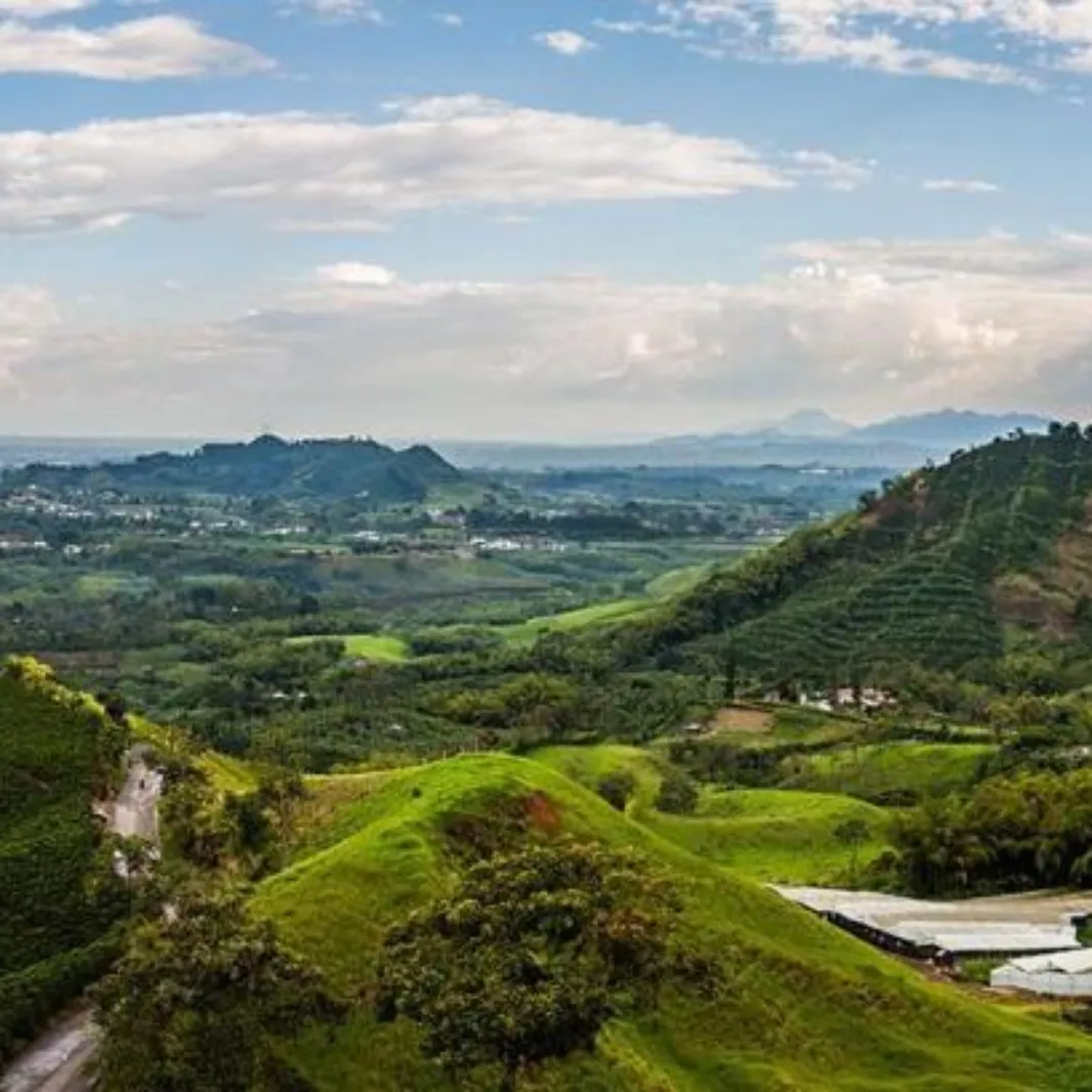 Paisaje de montañas verdes