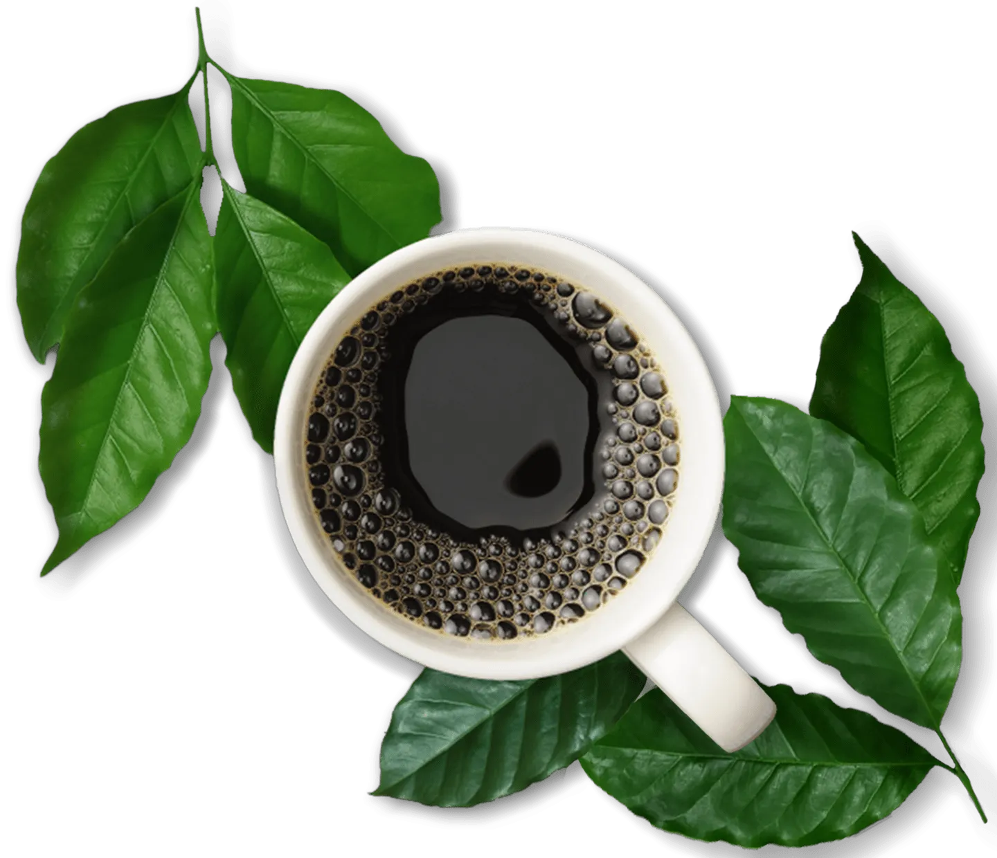 Beneficios del café