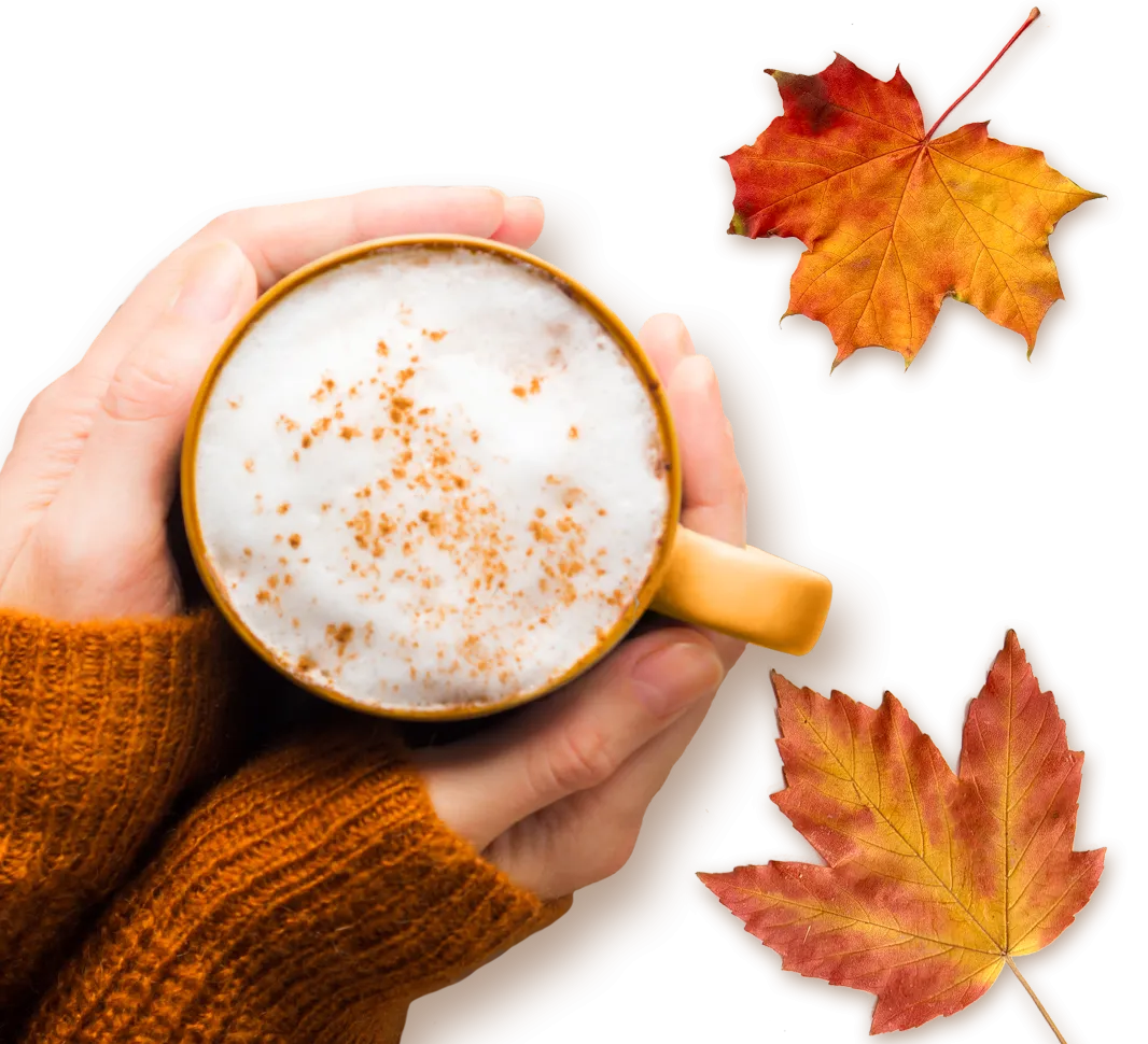 Coffee mate Pumpkin Spice