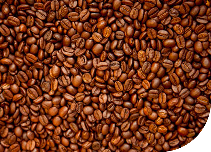 Coffee fact shape 8