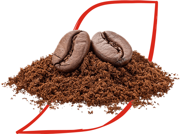 Arabica and Robusta coffee beans