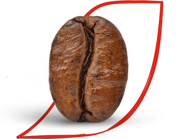 arabica en robusta koffiebonen