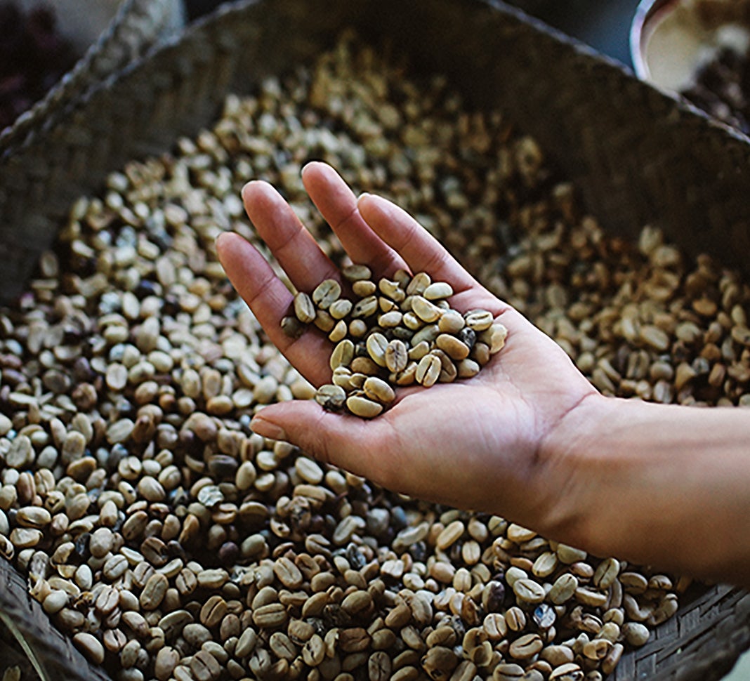 nescafe steunt koffietelers