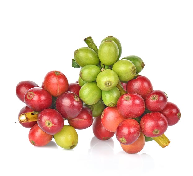 Koffiecultuur in Jamaica