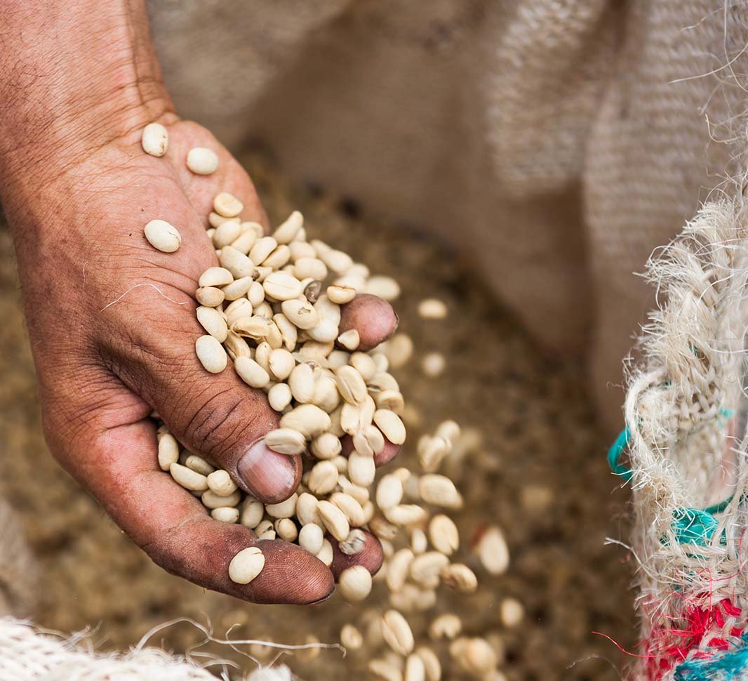 kenmerken van single origin koffie