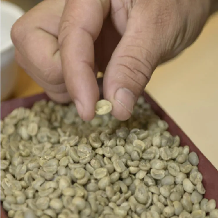 koffietermen