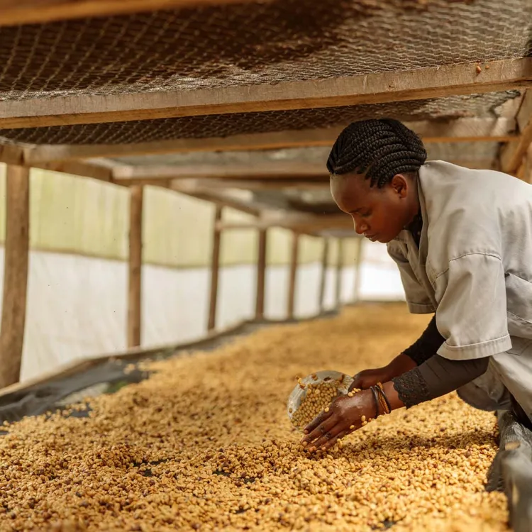rwandese koffie