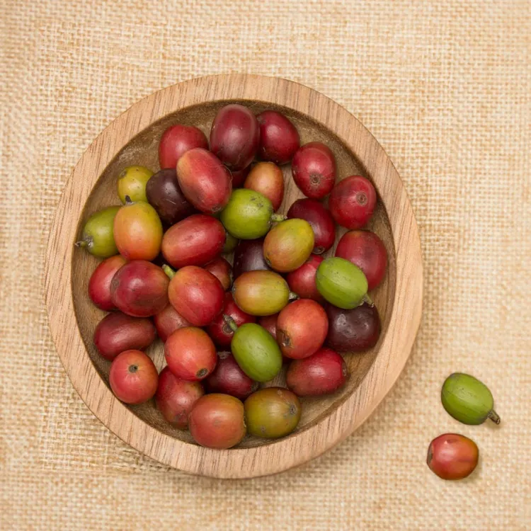 Koffiecultuur in Colombia