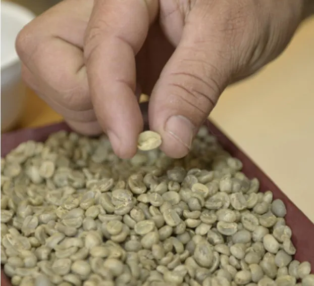 koffietermen