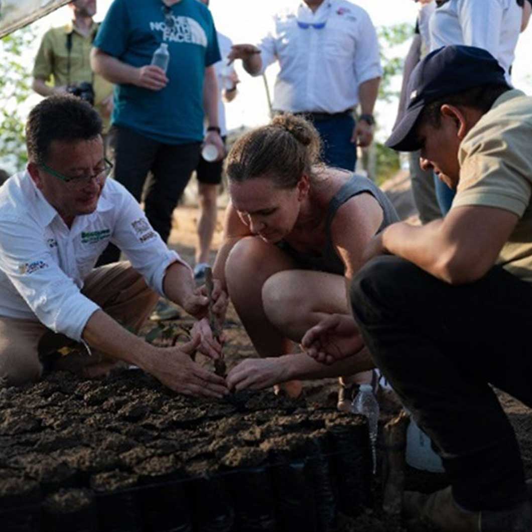Folk som planter i jorden