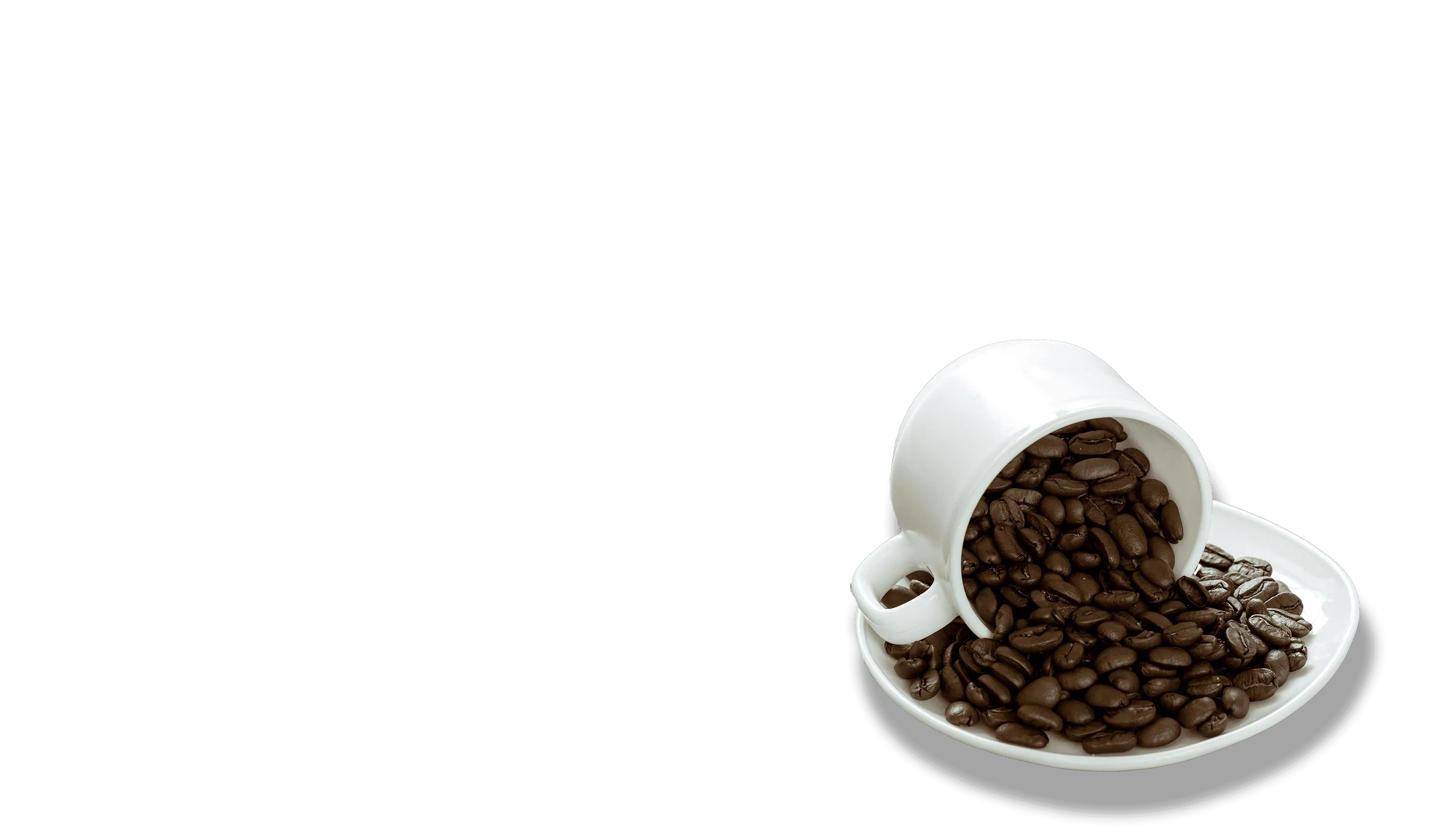 kaffeguide
