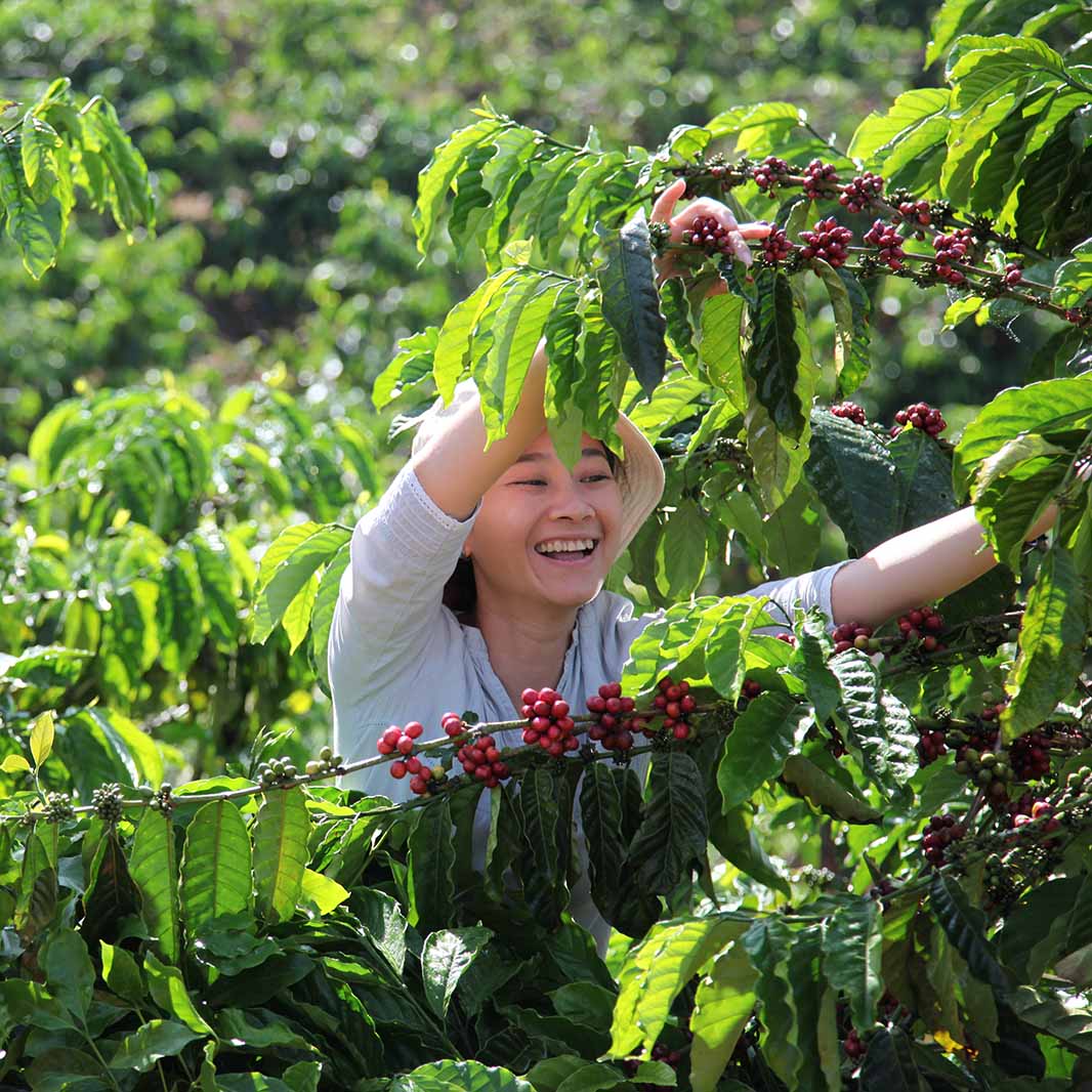Smiling woman in the plantation