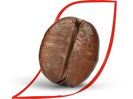 robusta blend coffee