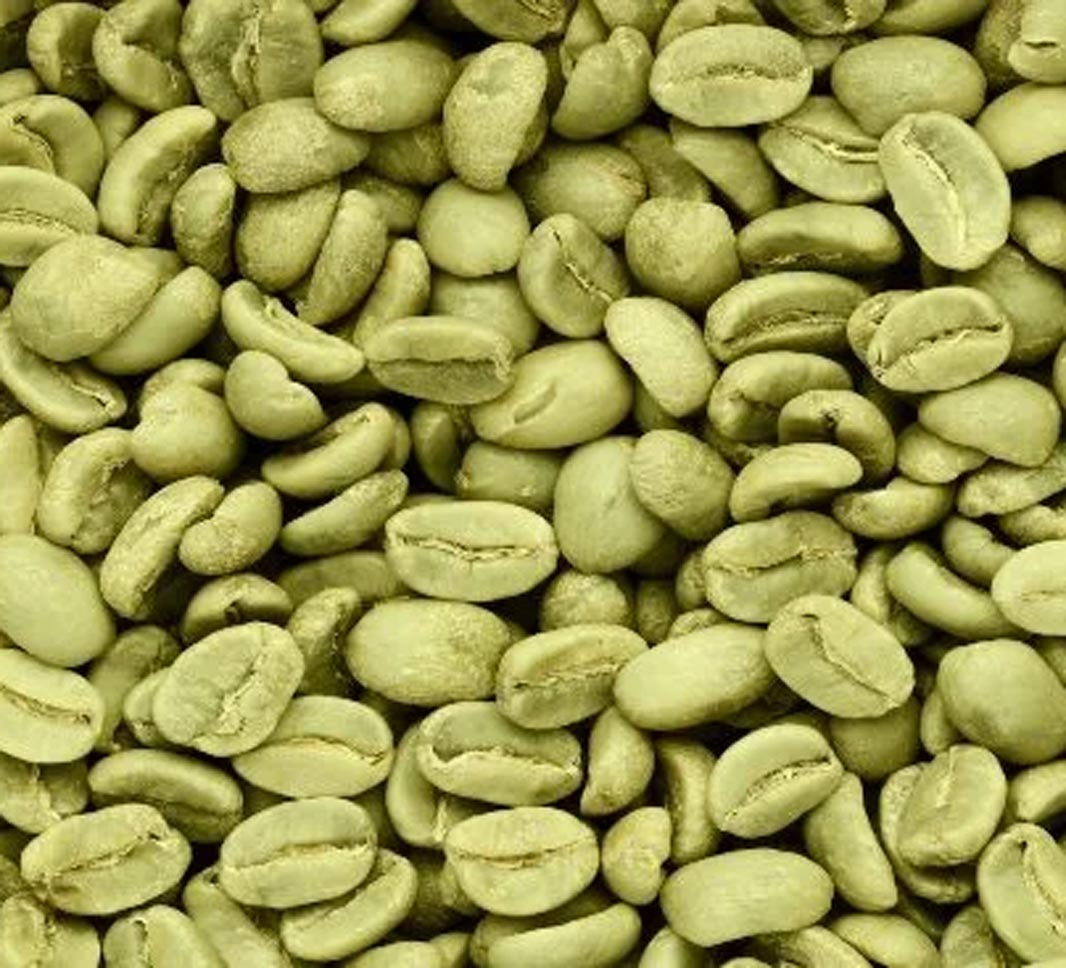 Arabica coffee beans