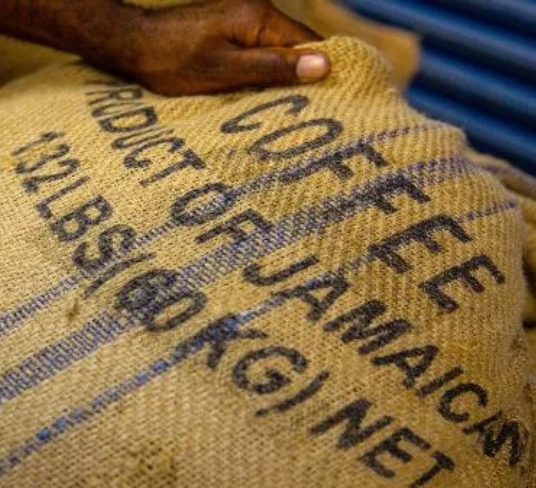 Jamaican coffee beans