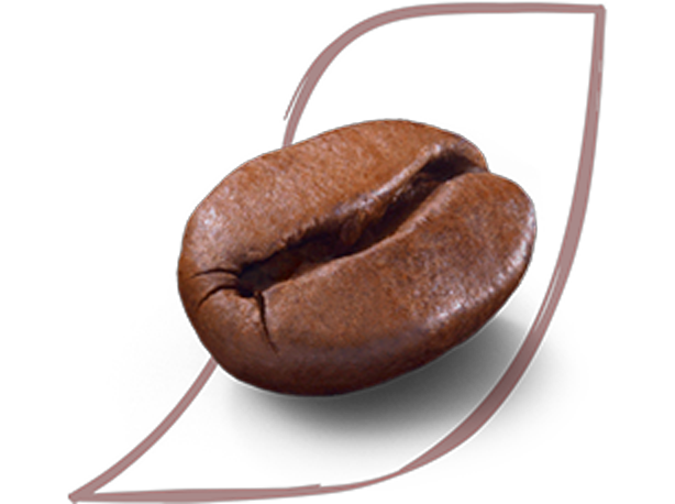 Image of coffee bean