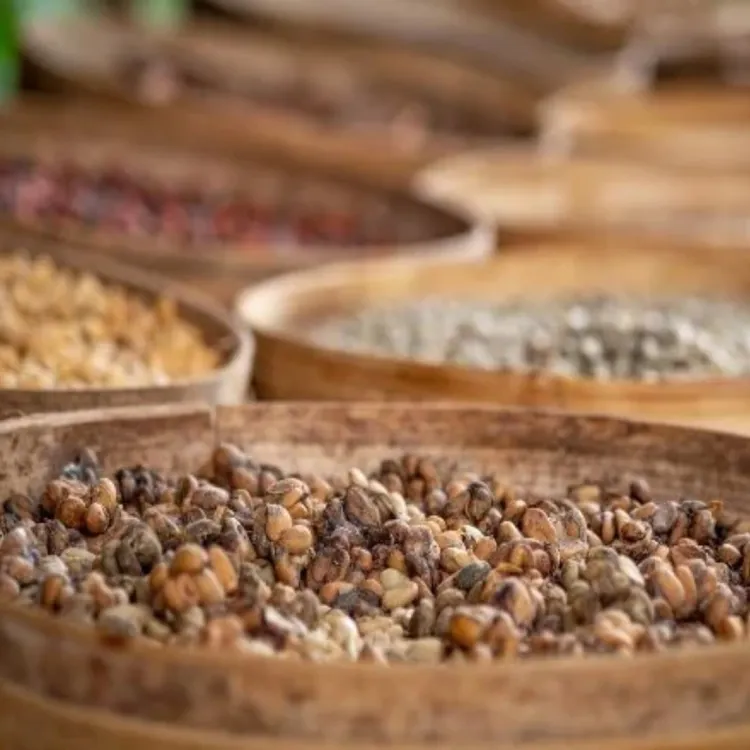 Dried coffee beans