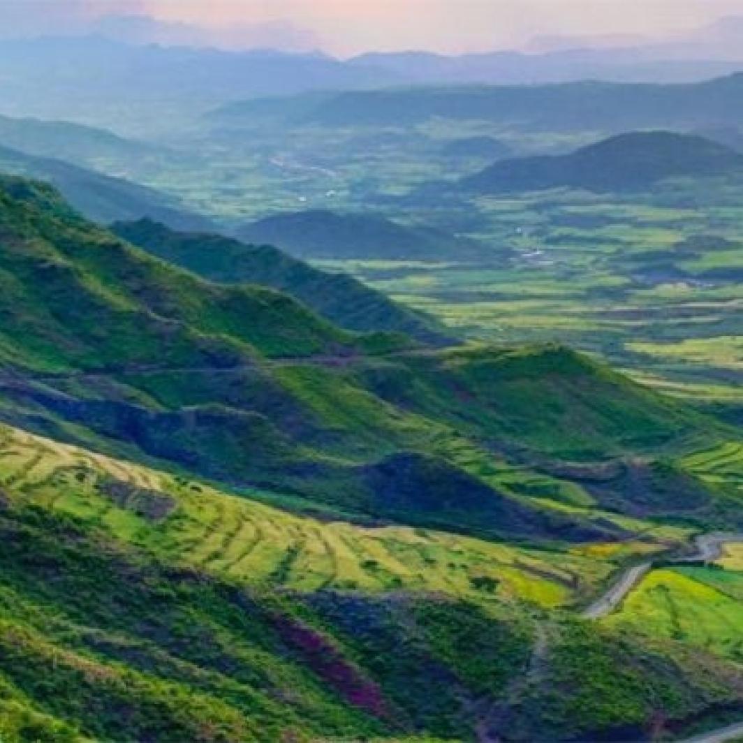 Ethiopian Coffee and Culture