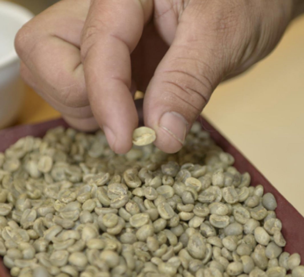 palabras relacionadas con el café