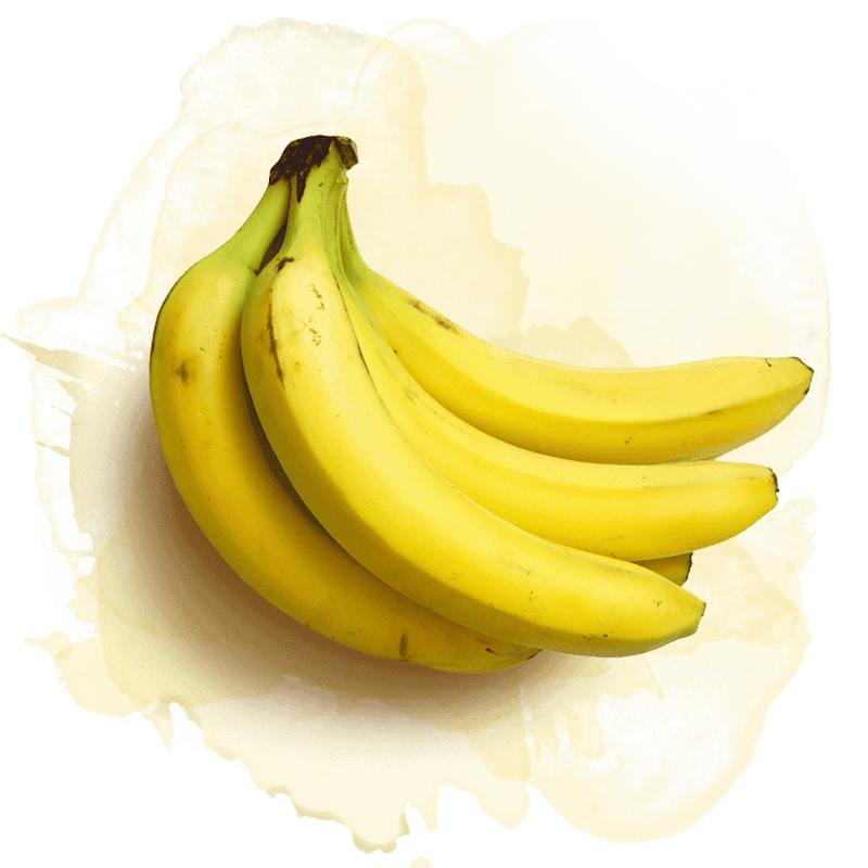 cultivo intercalado y café