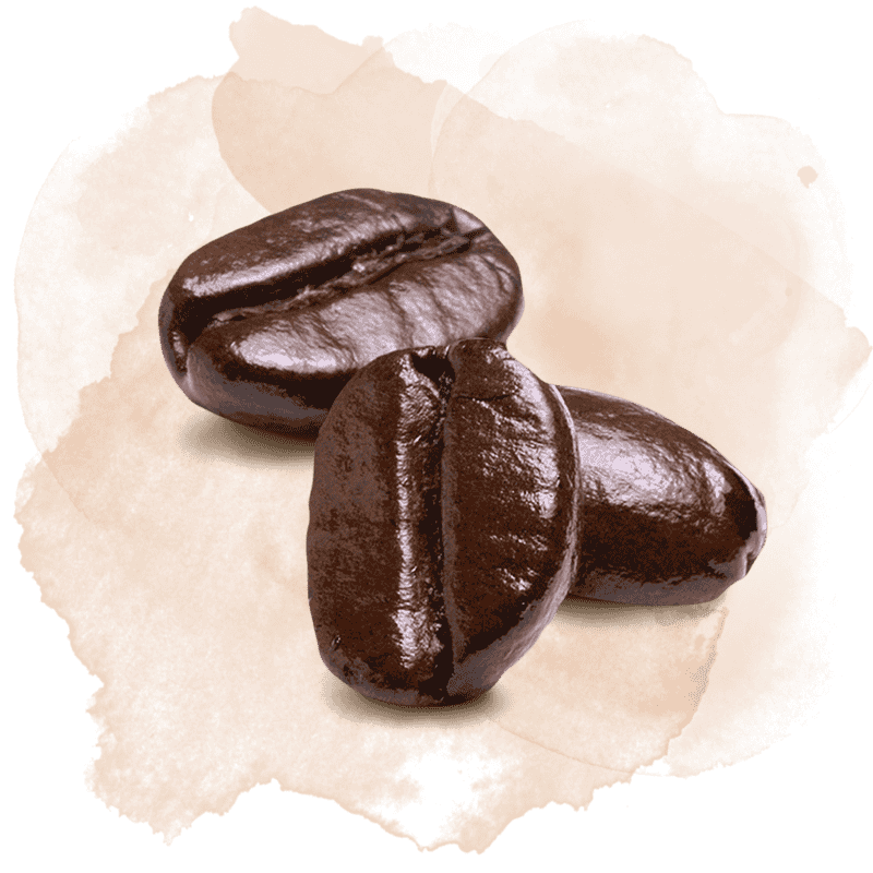 café cultivado a la sombra