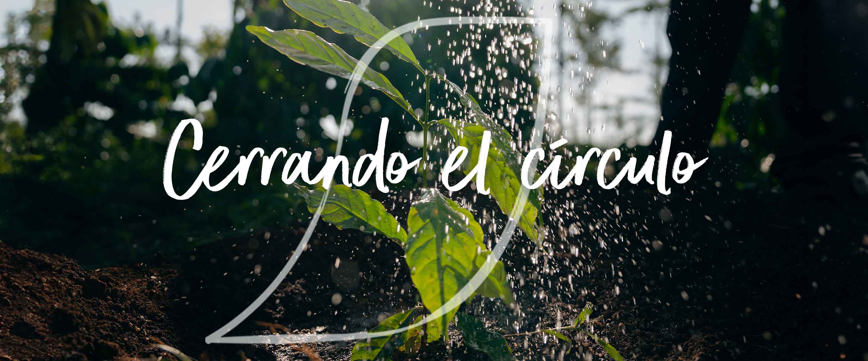 nescafé atar los cabos sueltos