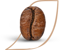 Coffee Facts