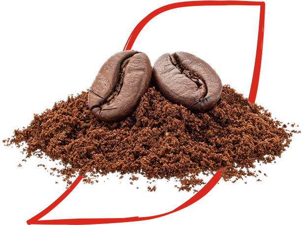 Robusta beans, chocolate, caramel, and vanilla