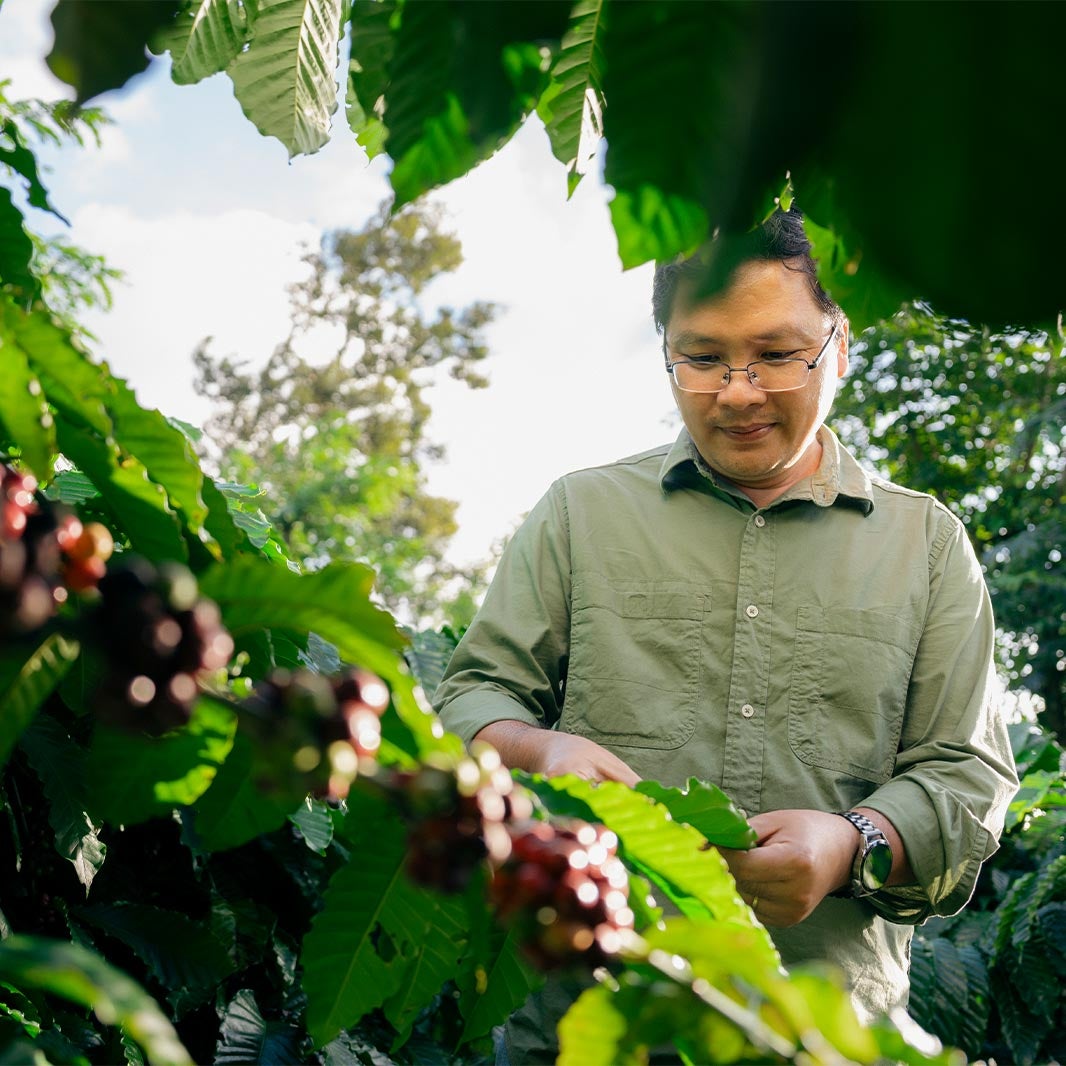 coffee agrnomists & farmers