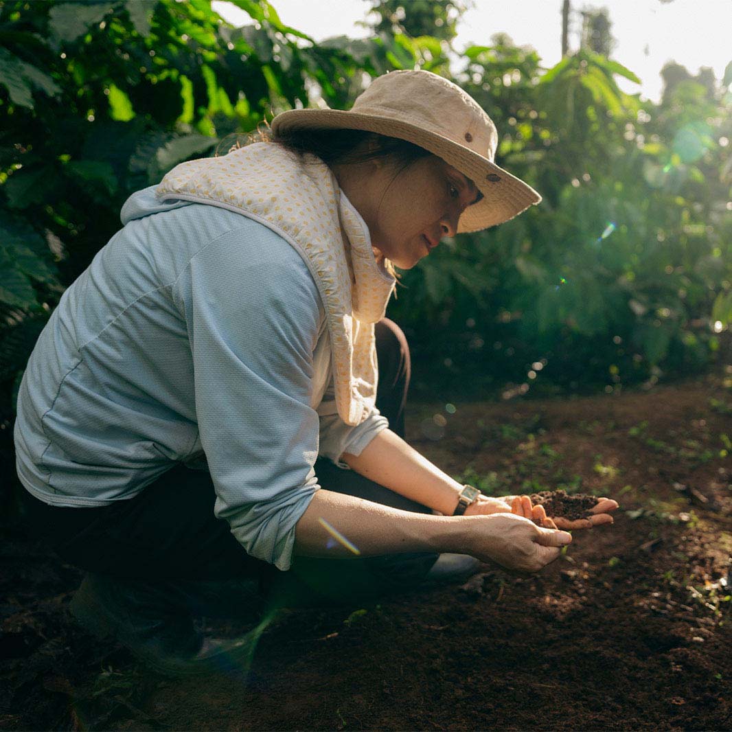 sustainable coffee farming